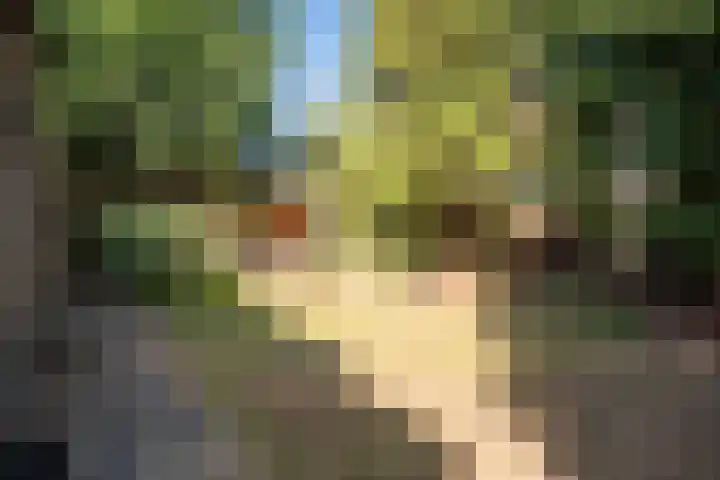 Olivierlaan 15 Eindhoven thumbnail 44