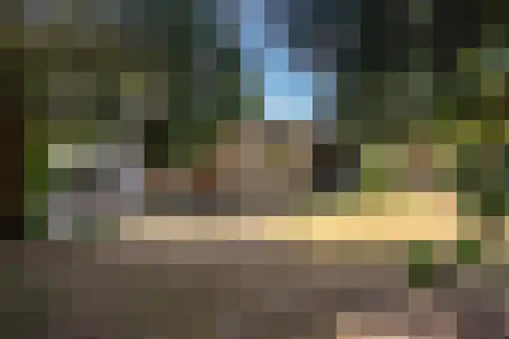 Olivierlaan 15 Eindhoven thumbnail 45