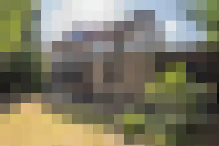 Olivierlaan 15 Eindhoven thumbnail 46