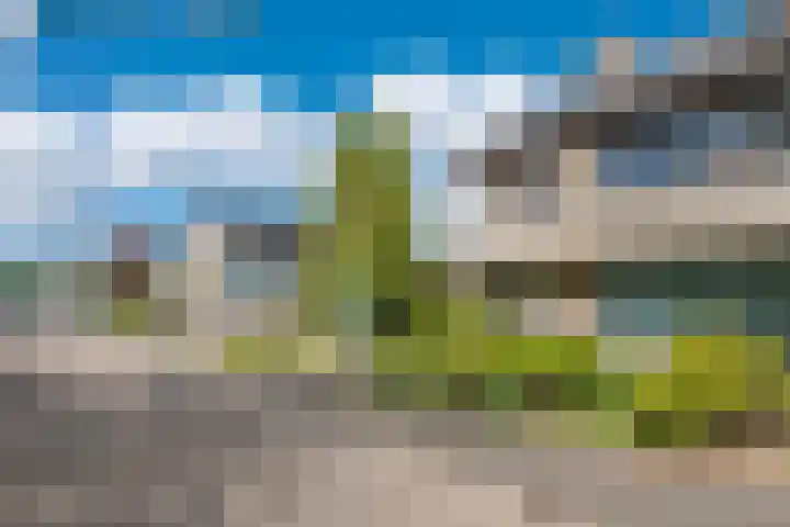 Olivierlaan 15 Eindhoven thumbnail 5