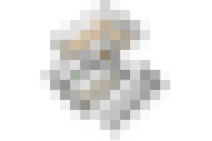 Olivierlaan 15 Eindhoven thumbnail 51