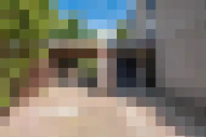 Olivierlaan 15 Eindhoven thumbnail 6