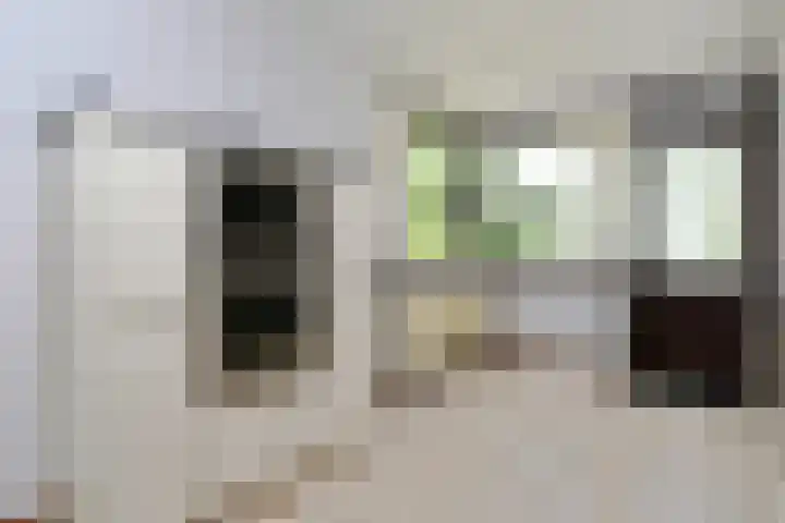 Olivierlaan 17 Eindhoven thumbnail 13