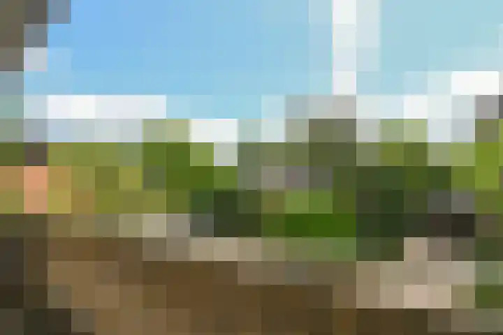 Olivierlaan 17 Eindhoven thumbnail 16