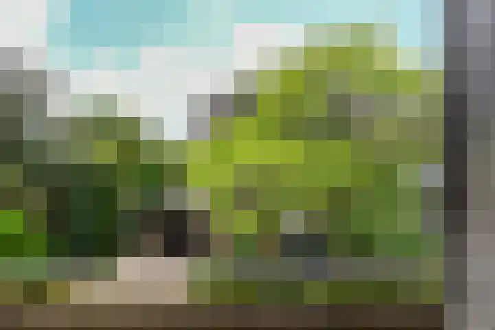 Olivierlaan 17 Eindhoven thumbnail 17