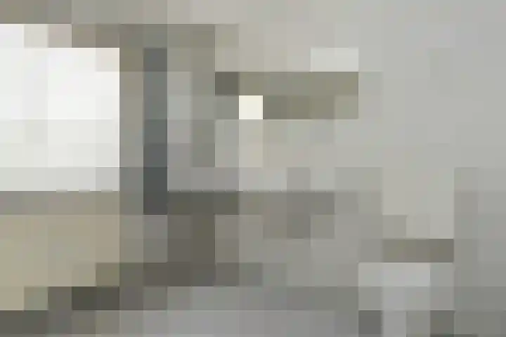Olivierlaan 17 Eindhoven thumbnail 22