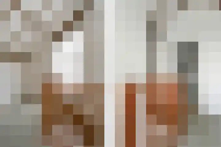 Olivierlaan 17 Eindhoven thumbnail 23