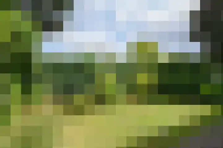 Olivierlaan 17 Eindhoven thumbnail 27