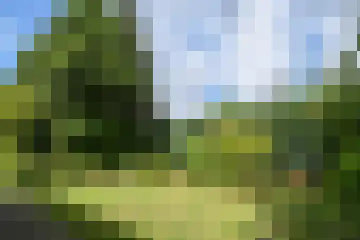 Olivierlaan 17 Eindhoven thumbnail 28