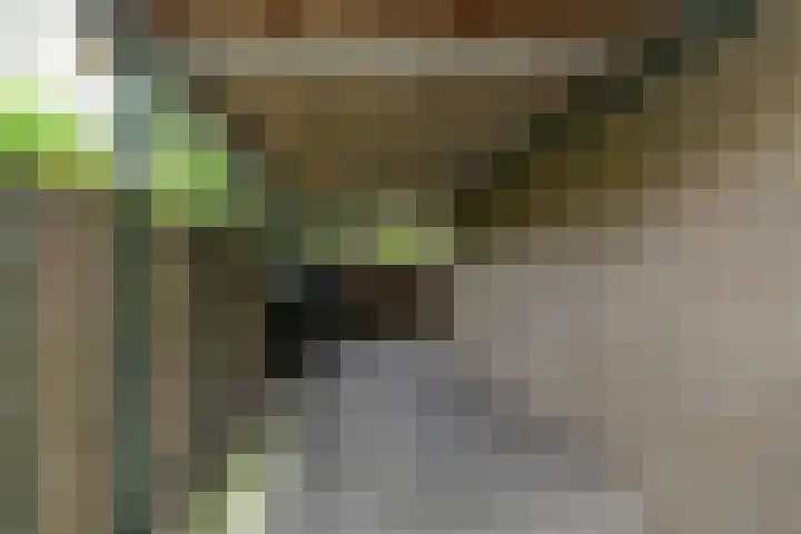 Olivierlaan 17 Eindhoven thumbnail 29