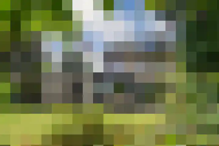 Olivierlaan 17 Eindhoven thumbnail 31