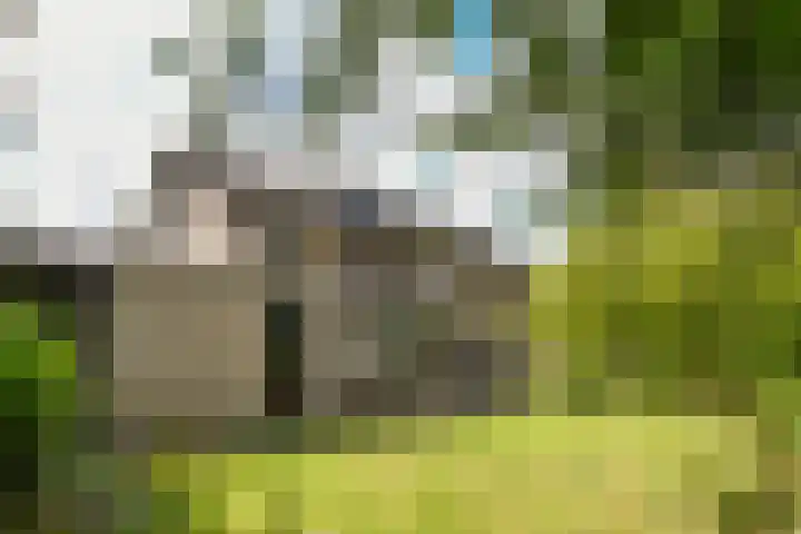 Olivierlaan 17 Eindhoven thumbnail 32