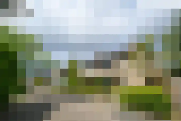Olivierlaan 17 Eindhoven thumbnail 33