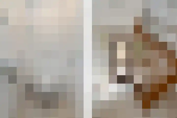 Olivierlaan 17 Eindhoven thumbnail 4