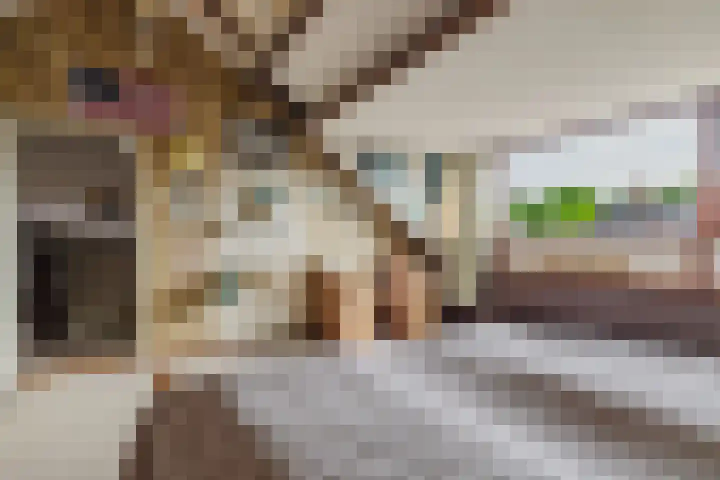 Olivierlaan 7 Eindhoven thumbnail 37