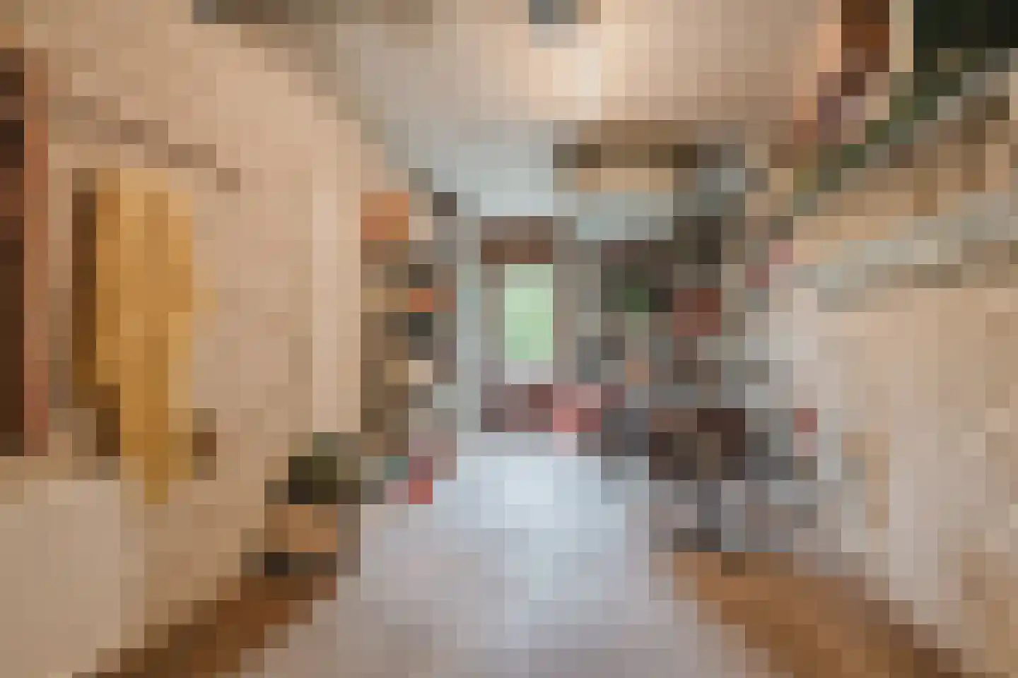 Olivierlaan 7 Eindhoven thumbnail 39