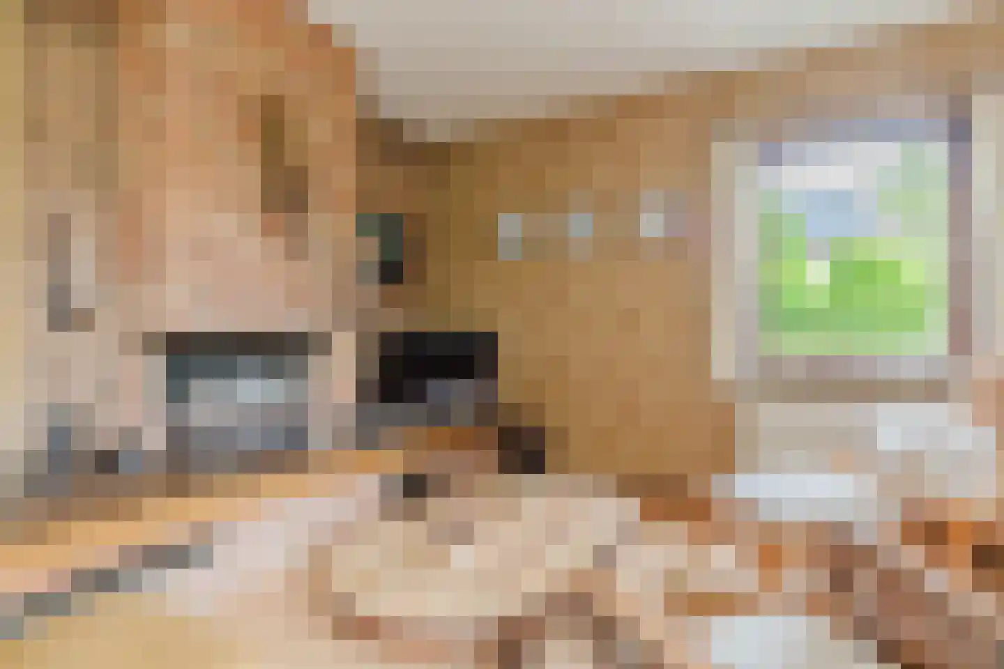 Olivierlaan 7 Eindhoven thumbnail 8