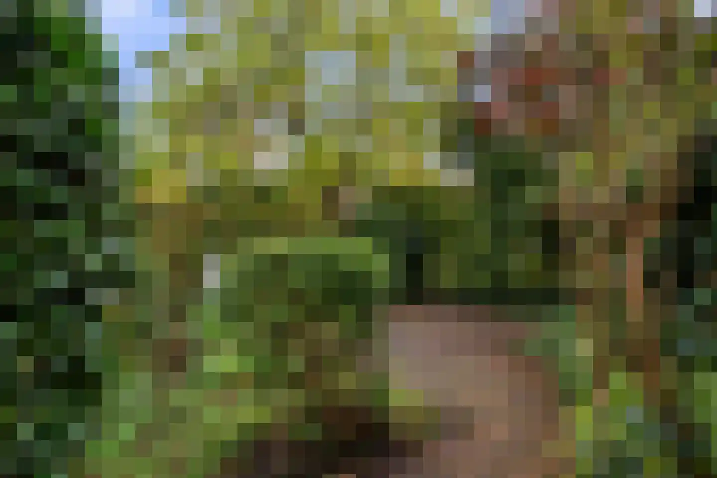 Olivierlaan 7 Wageningen thumbnail 10