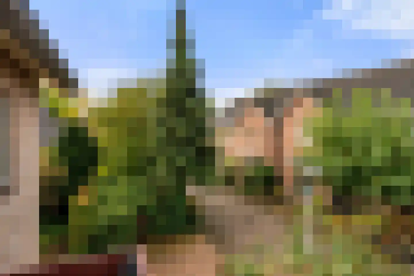 Olivierlaan 7 Wageningen thumbnail 34