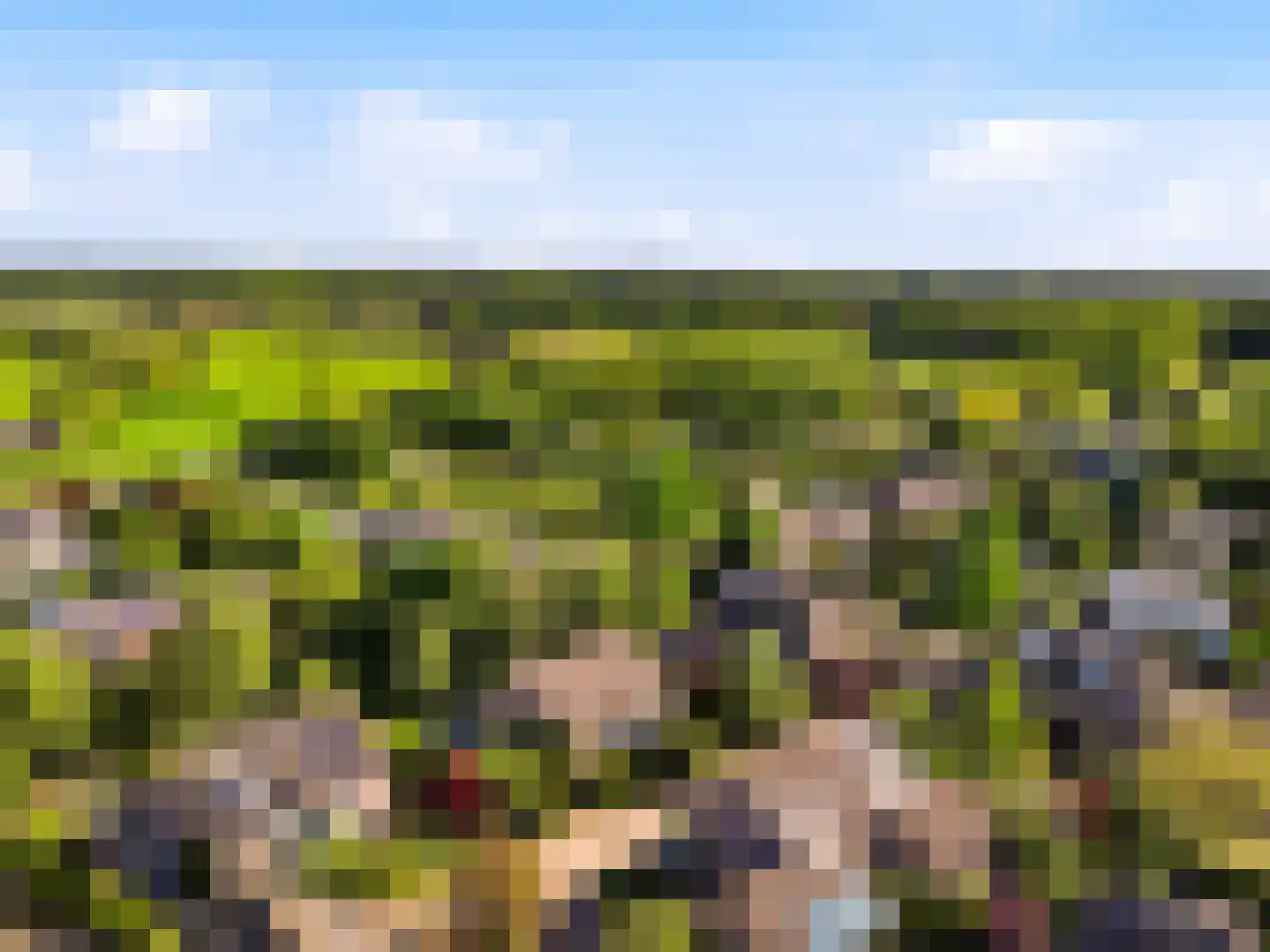 Olivierlaan 7 Wageningen thumbnail 40