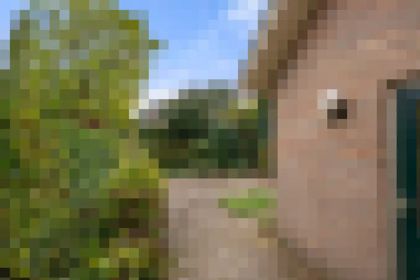 Olivierlaan 7 Wageningen thumbnail 6