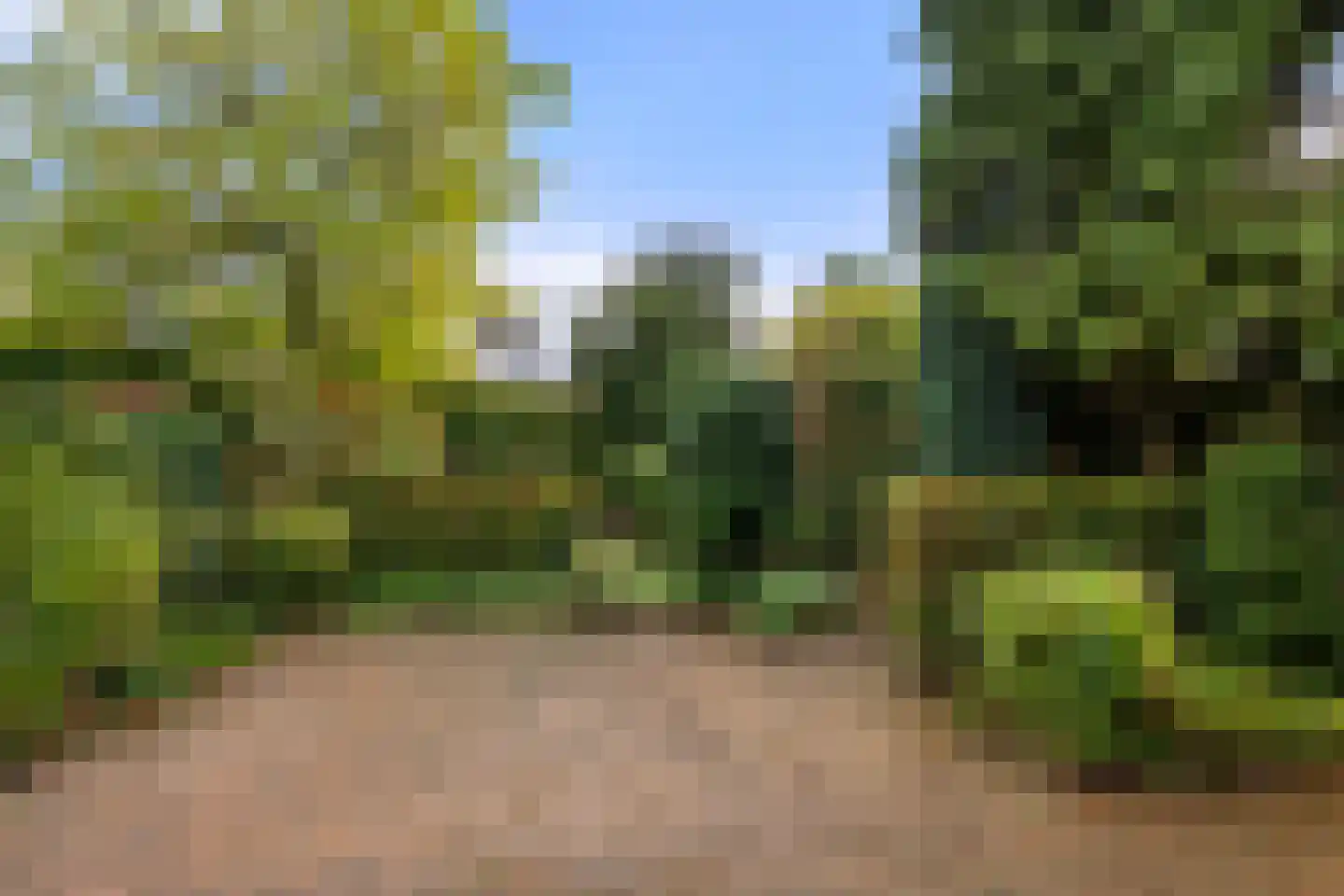 Olivierlaan 7 Wageningen thumbnail 8