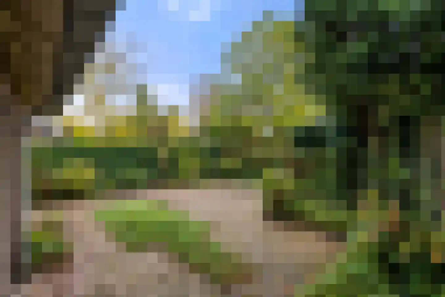 Olivierlaan 7 Wageningen thumbnail 9