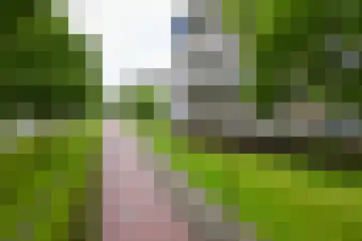 Olivierplaats 22 Amersfoort thumbnail 19