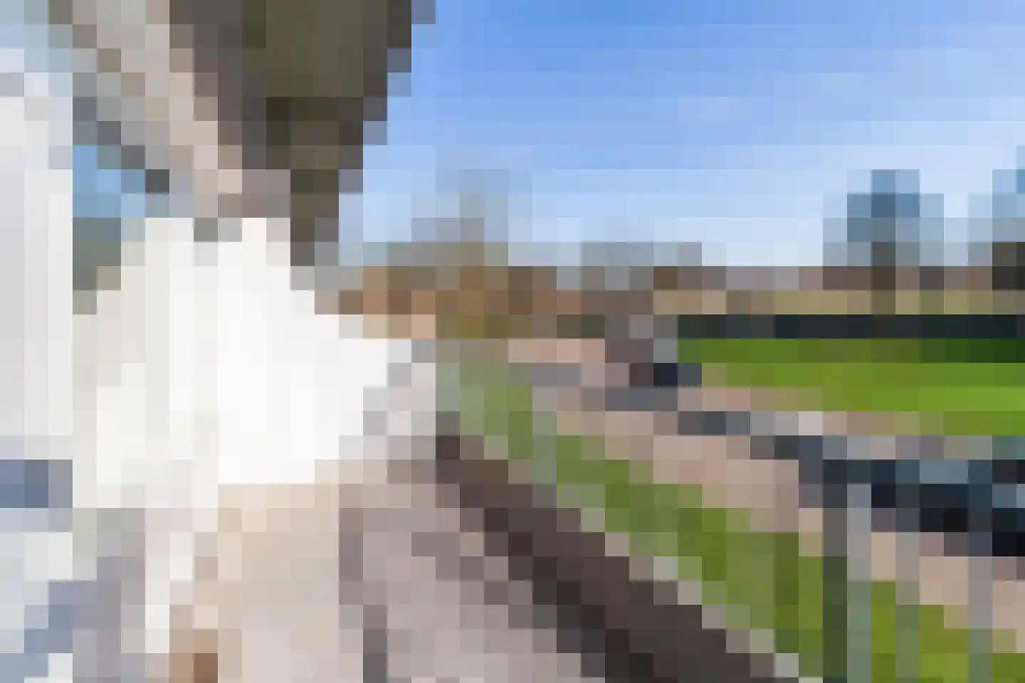 Olivierplaats 25 Amersfoort thumbnail 19
