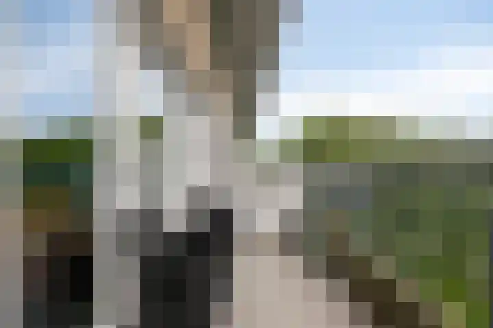 Olivierplaats 40 Amersfoort thumbnail 20