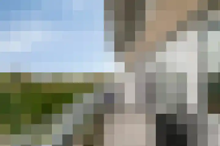 Olivierplaats 40 Amersfoort thumbnail 21