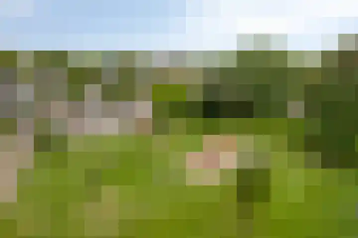Olivierplaats 40 Amersfoort thumbnail 32