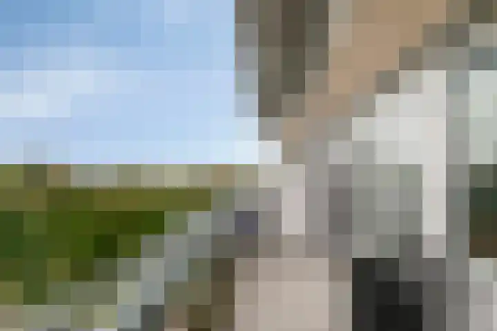 Olivierplaats 40 Amersfoort thumbnail 5