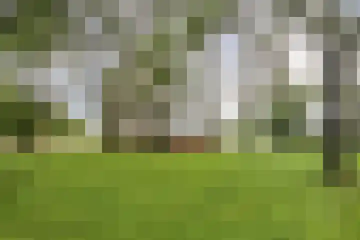 Olivierplaats 40 Amersfoort thumbnail 8