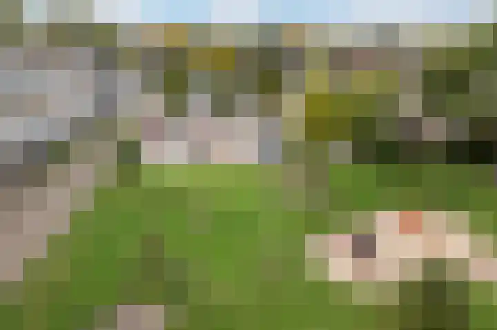 Olivierplaats 42 Amersfoort thumbnail 14