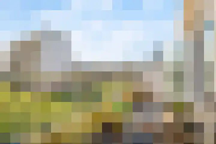 Olivierplaats 47 Amersfoort thumbnail 12