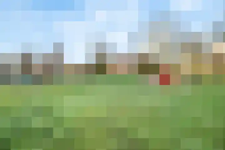 Olivierplaats 47 Amersfoort thumbnail 33