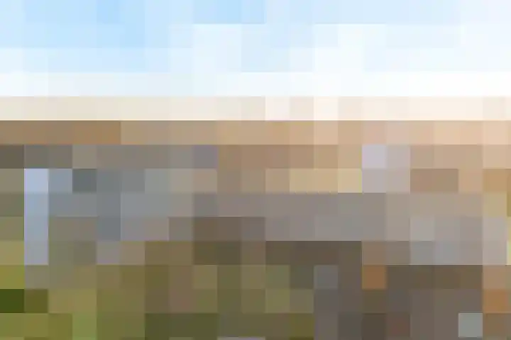 Olivierplaats 47 Amersfoort thumbnail 34