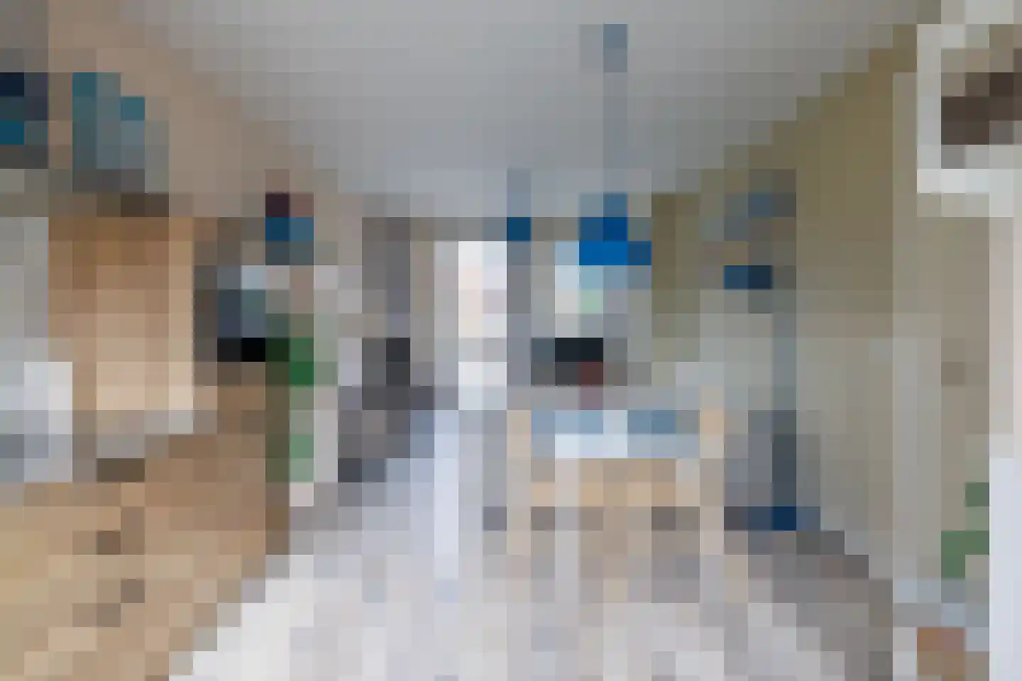 Oliviershiem 8 Nes thumbnail 38