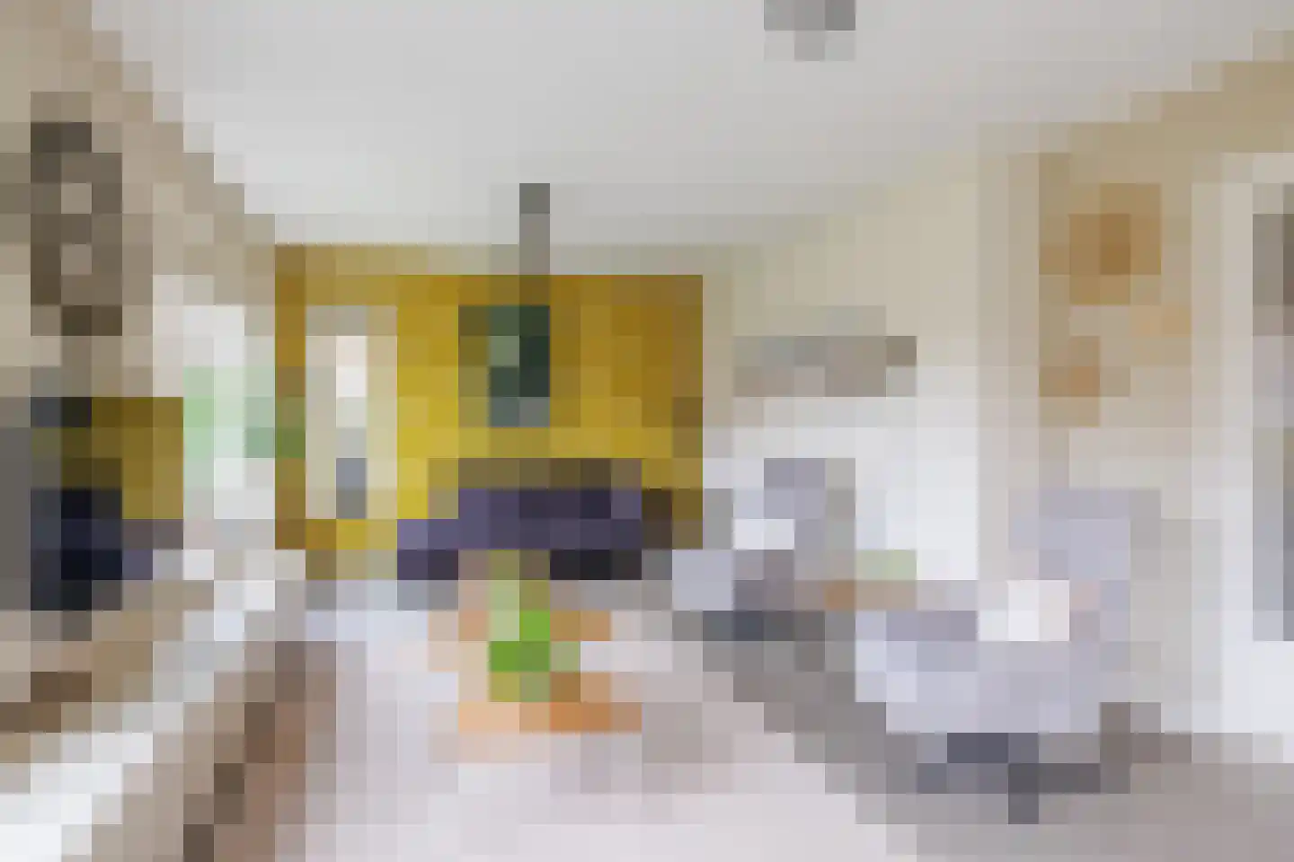 Oliviershiem 8 Nes thumbnail 6