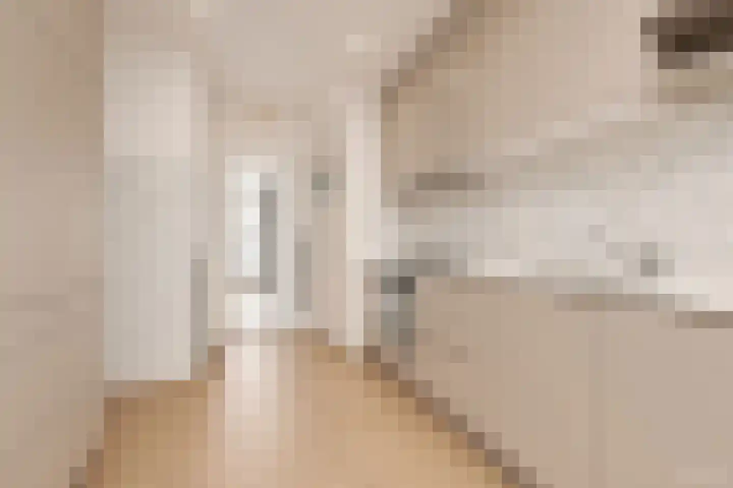 Olivierstraat 15 Axel thumbnail 15