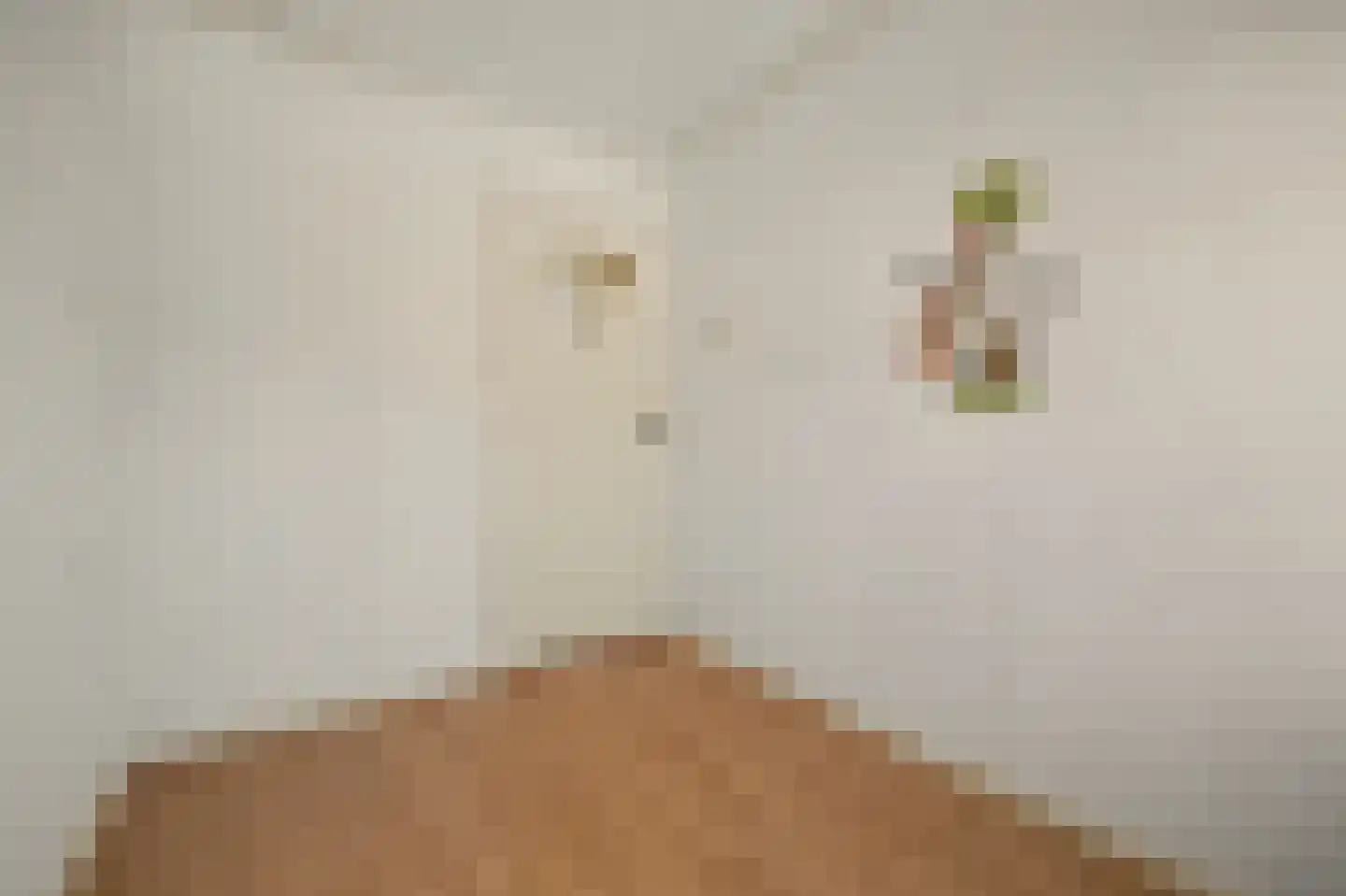 Olivierstraat 15 Axel thumbnail 20
