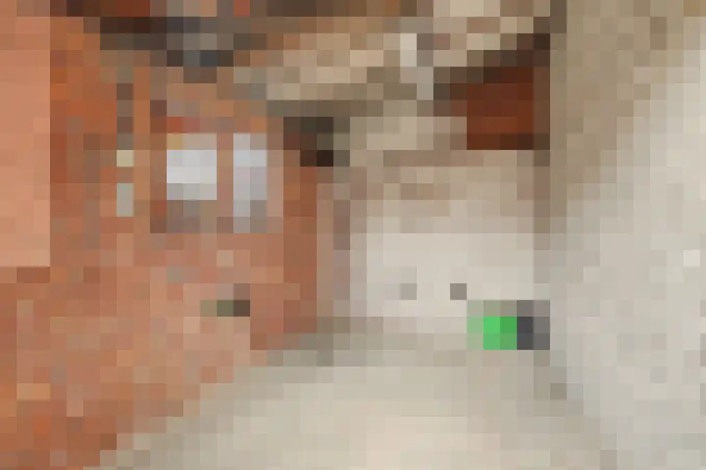Olivierstraat 15 Axel thumbnail 33