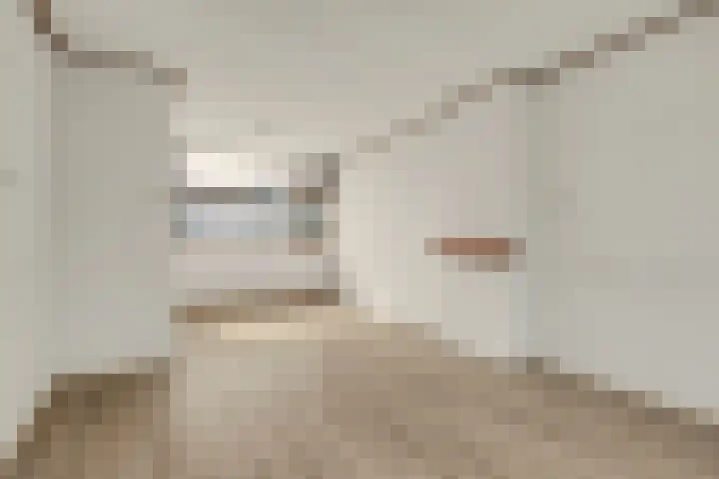 Olivierstraat 15 Axel thumbnail 8