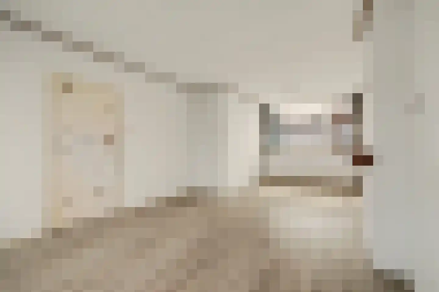 Olivierstraat 15 Axel thumbnail 9