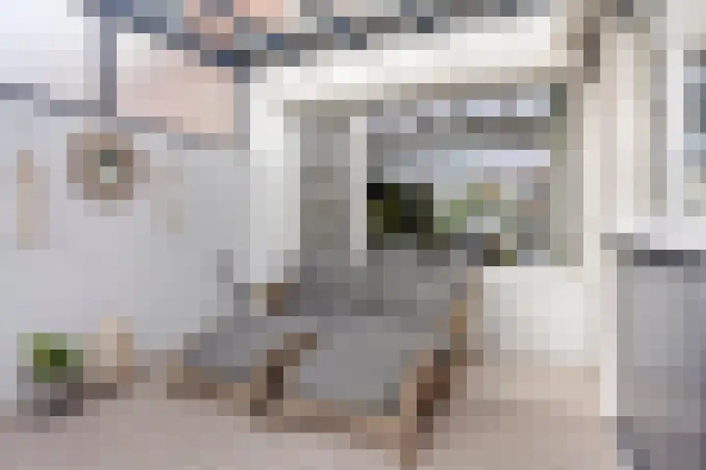 Olivierstraat 45 Axel thumbnail 12