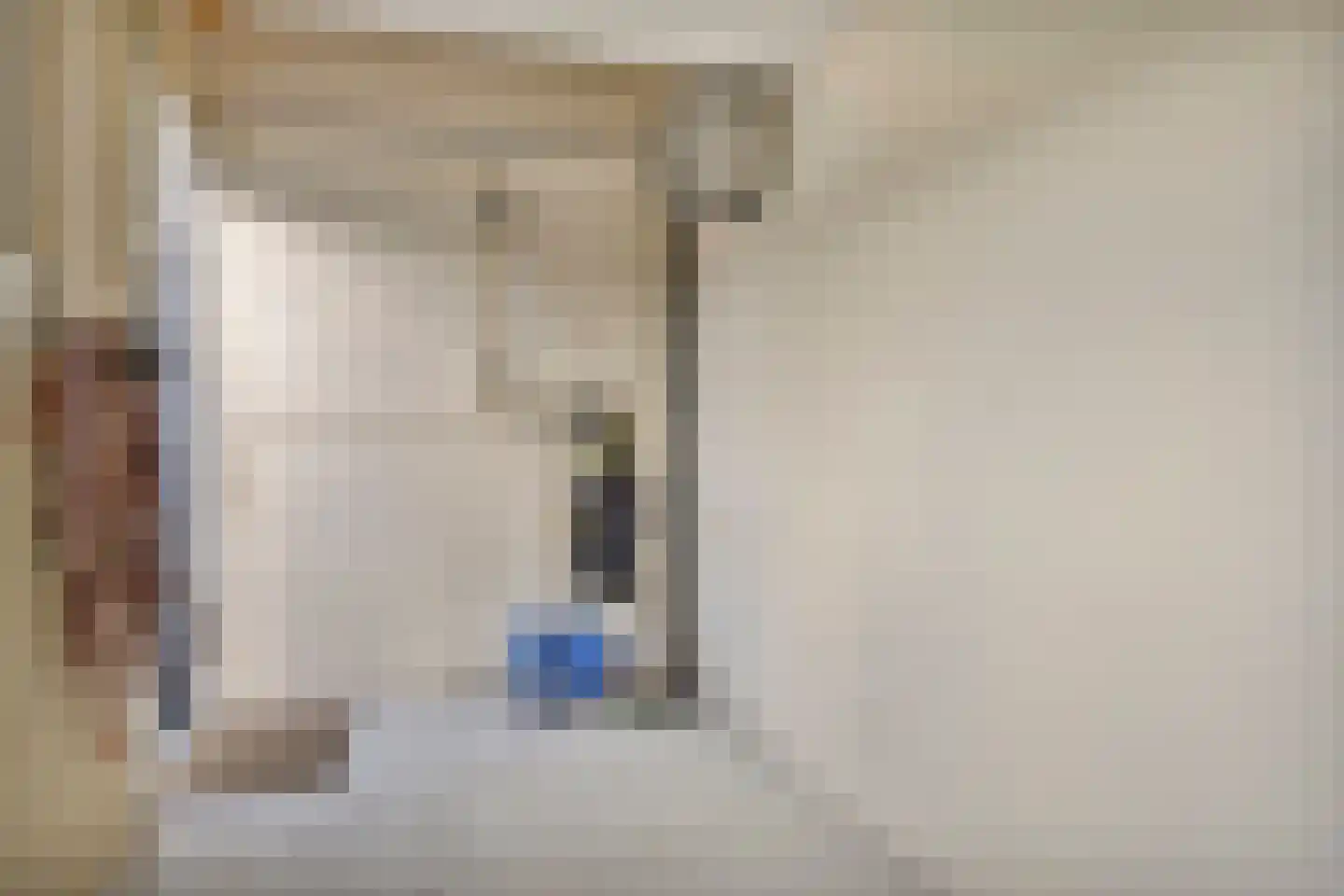 Olivierstraat 45 Axel thumbnail 25