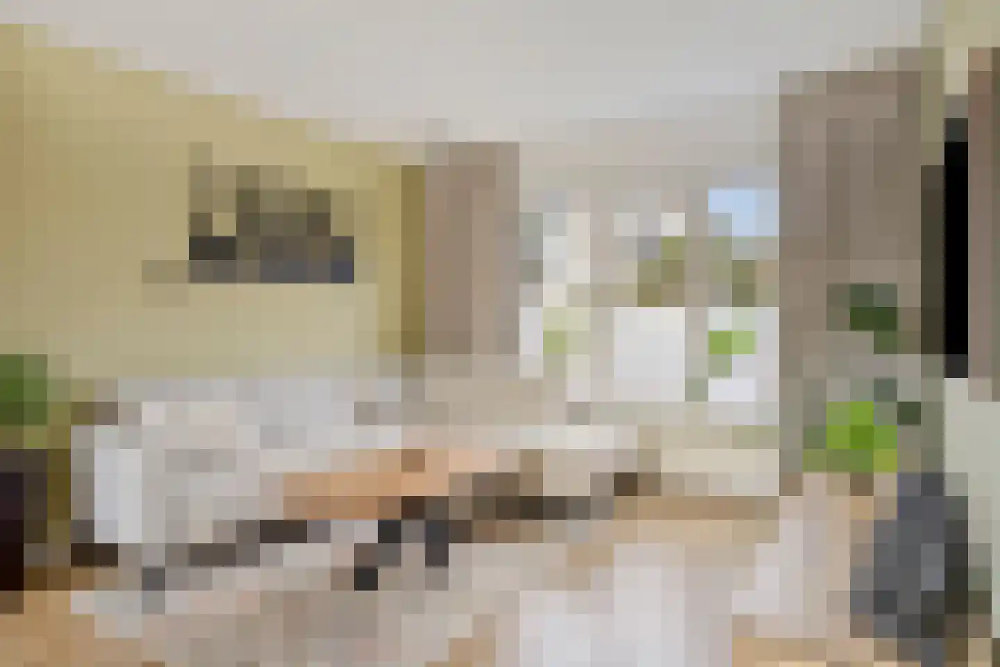 Olivierstraat 45 Axel thumbnail 4