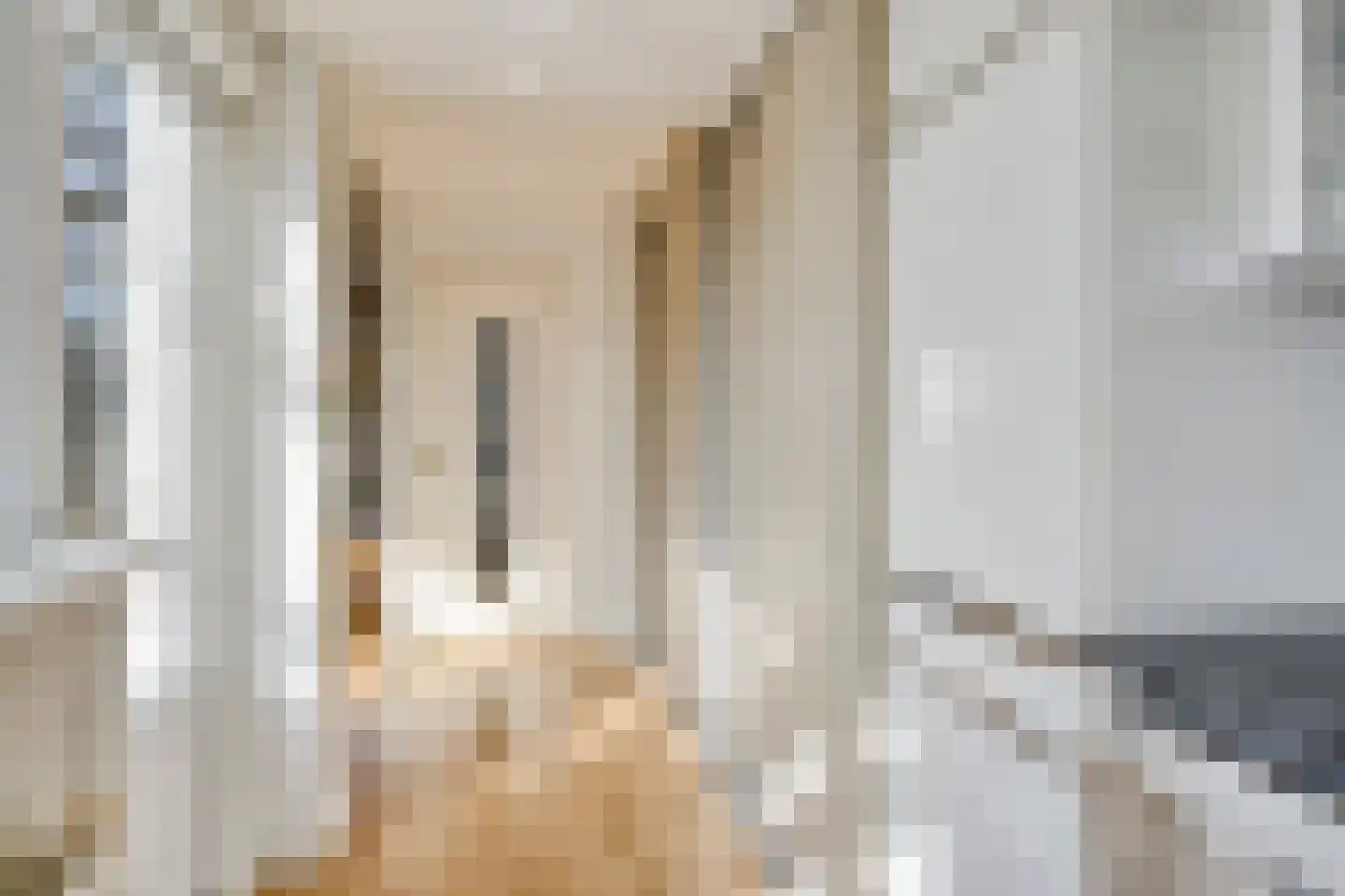 Olivierstraat 45 Axel thumbnail 9