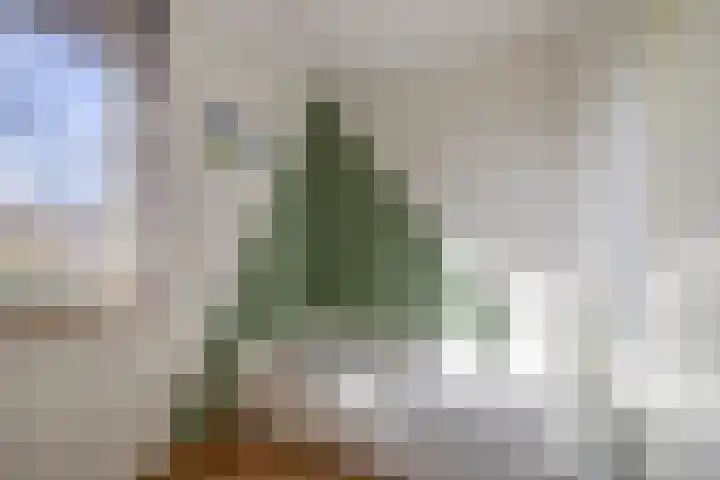 Olivijn 13 Venlo thumbnail 13
